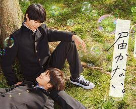 泛页面关键词0156